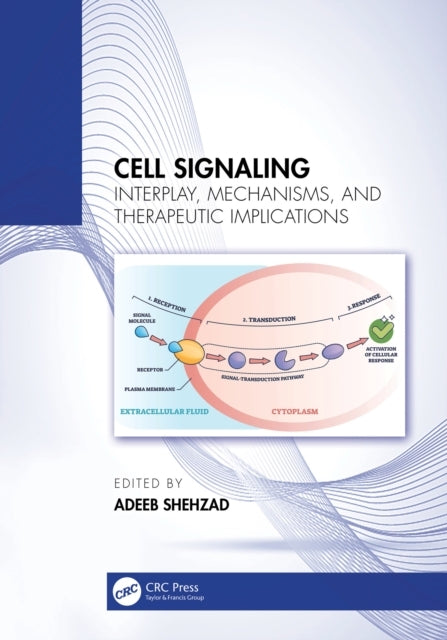 Cell Signaling Interplay, Mechanisms, and Therapeutic Implic