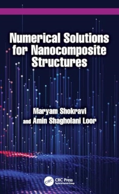 Numerical Solutions For Nanocomposite Structures