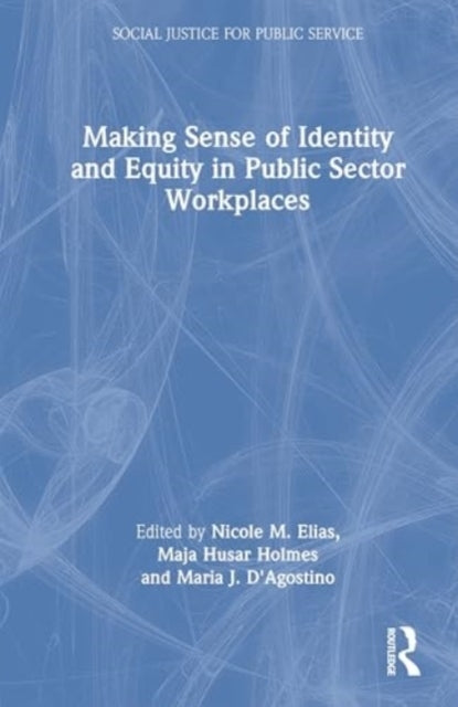 Making Sense Of Identity And Equity In Public Sector Workpla