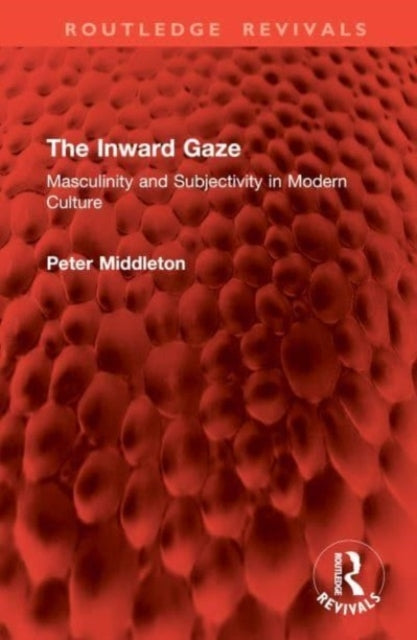 The Inward Gaze Masculinity and Subjectivity In Modern Cultu