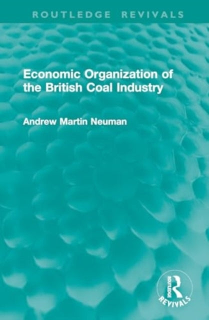 Economic Organization of The British Coal Industry