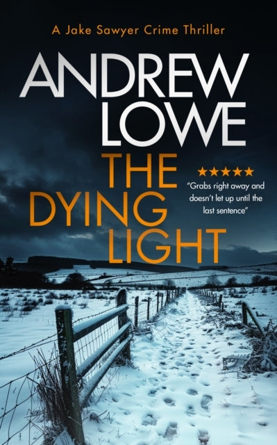 The Dying Lighta Page-turning Chilling British Crime Novel