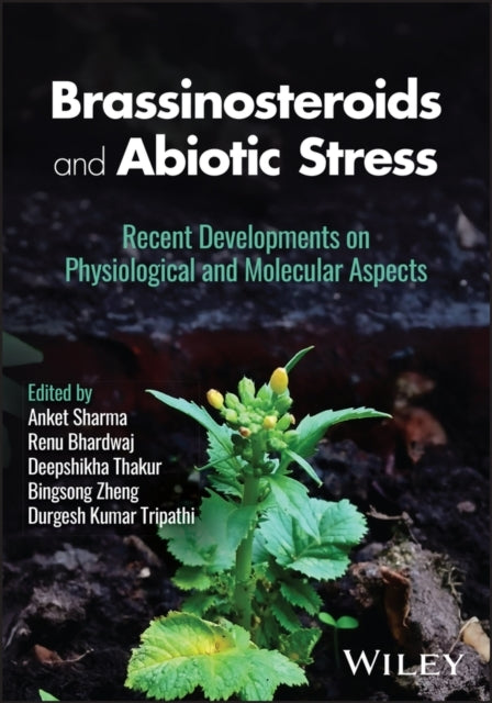 Brassinosteroids and Abiotic Stress Recent Developments On P
