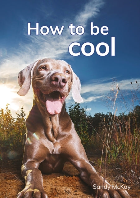 How to Be Cool