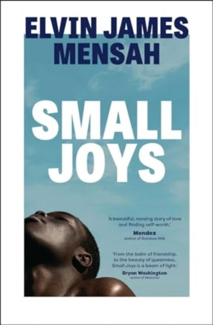 Small Joys A Buzzfeed 'Amazing New Book You Need To Read Asa