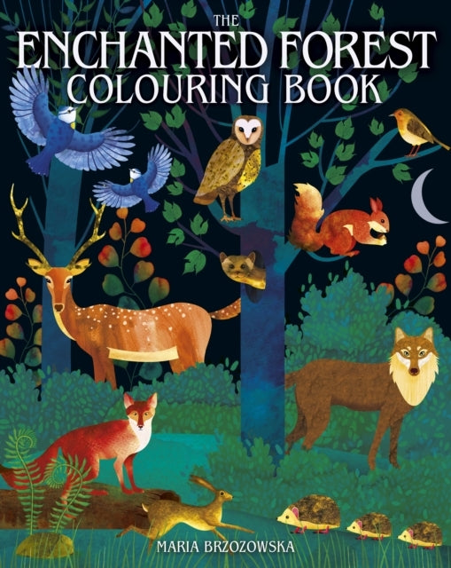 ENCHANTED FOREST COLOURING BOOK.
