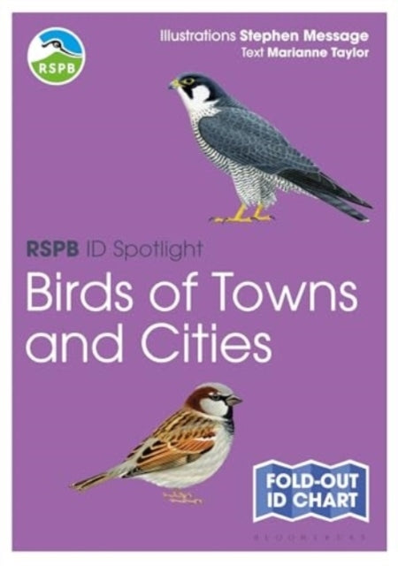 Rspb Id Spotlight - Birds Of Towns And Cities