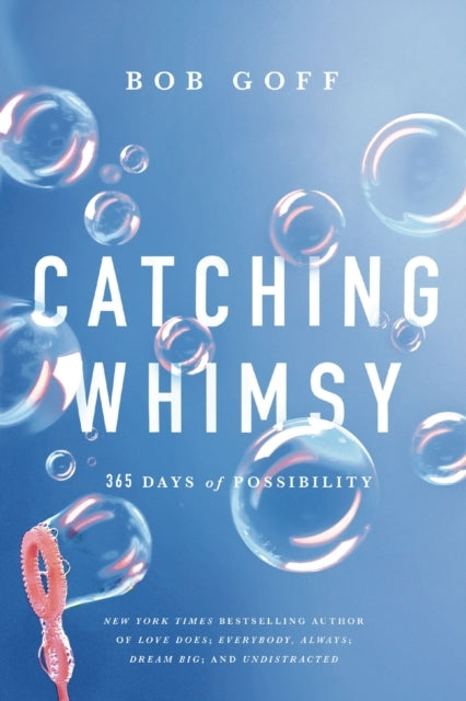 Catching Whimsy365 Days of Possibility (a Daily Devotional)