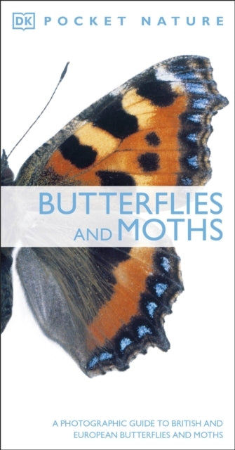 Butterflies And Moths A Photographic Guide To British And Eu