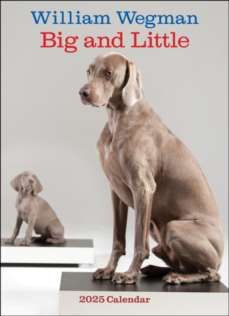 William Wegman Big And Little 2025 Wall Calendar