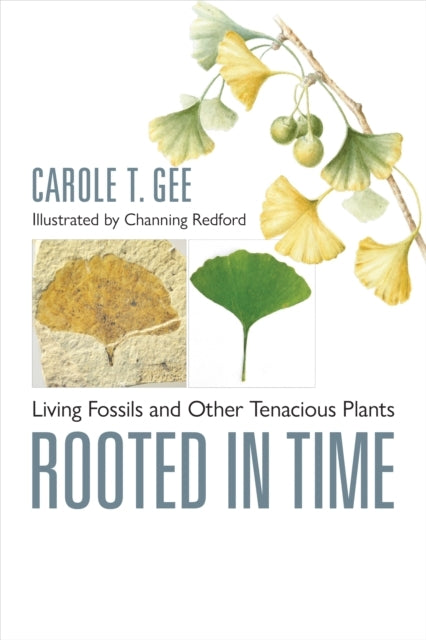 Rooted In Time Living Fossils and Other Tenacious Plants
