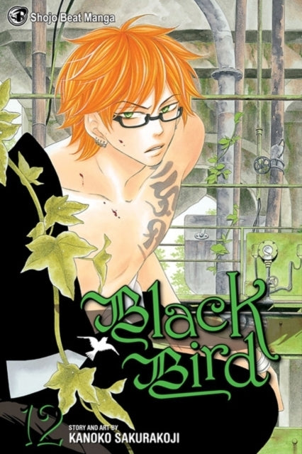 Black Bird Vol. 12