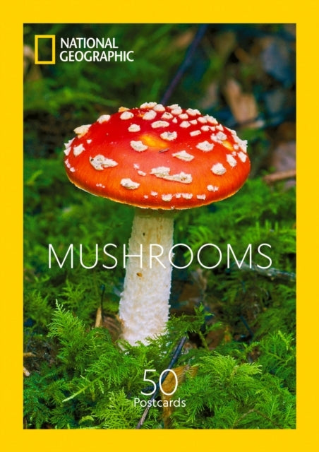 Mushrooms 50 Postcards