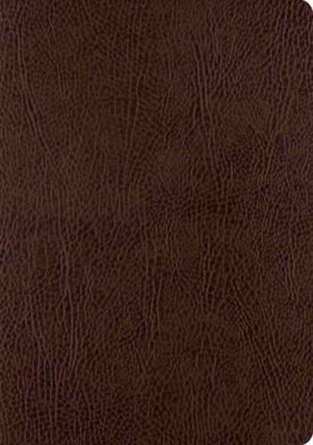 Esv Single Column Journaling Bible, Large Print