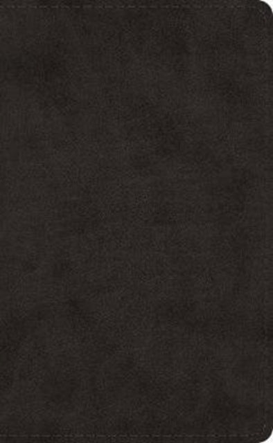 Esv Pocket Bible