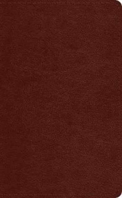 Esv Pocket Bible