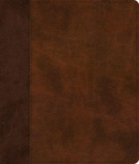 Esv Journaling Bible