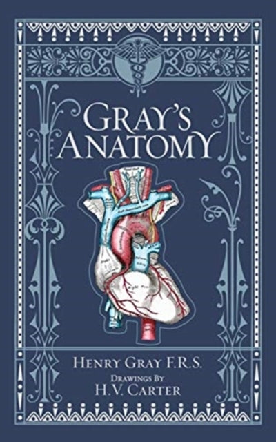 D1 Gray's Anatomy Barnes & Noble Collectible Editions