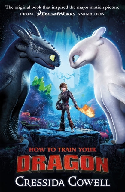 HOW TO TRAIN YOUR DRAGON FILM TIE IN 3RD EDITION BOOK 1