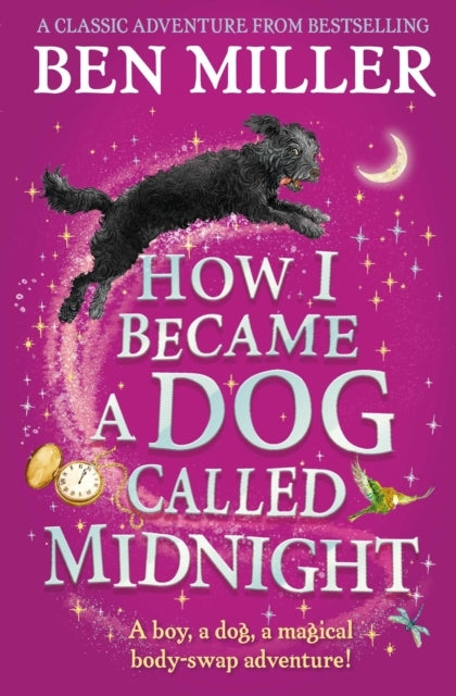 How I Became A Dog Called Midnight A Magical Animal Mystery