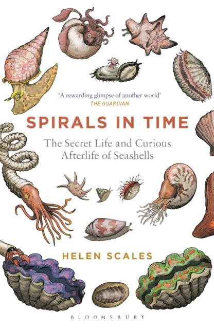Spirals In Time The Secret Life and Curious Afterlife of Seashells