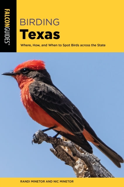 Birding Texas Where, How, and When To Spot Birds Across The State