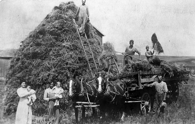 Mrs. Cook And The Klan Booze, Bloodshed, And Bigotry In Amer
