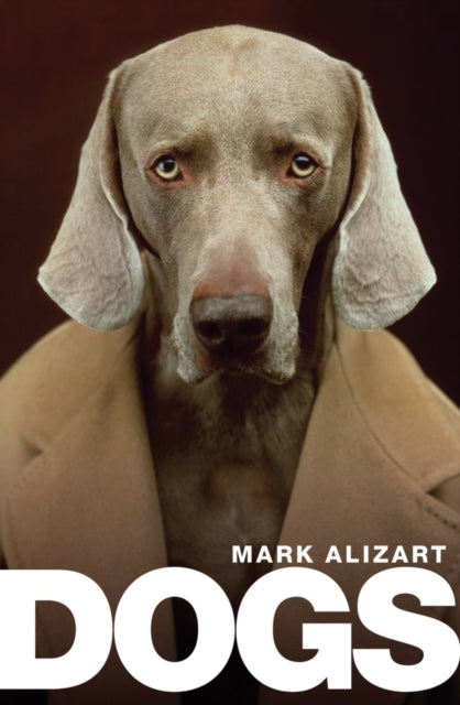 Dogs A Philosophical Guide To Our Best Friends
