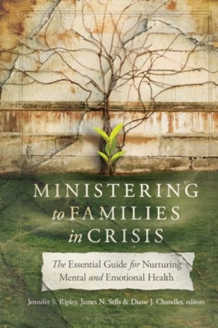 Ministering To Families In Crisis The Essential Guide For Nurturing Mental and Emotional Health