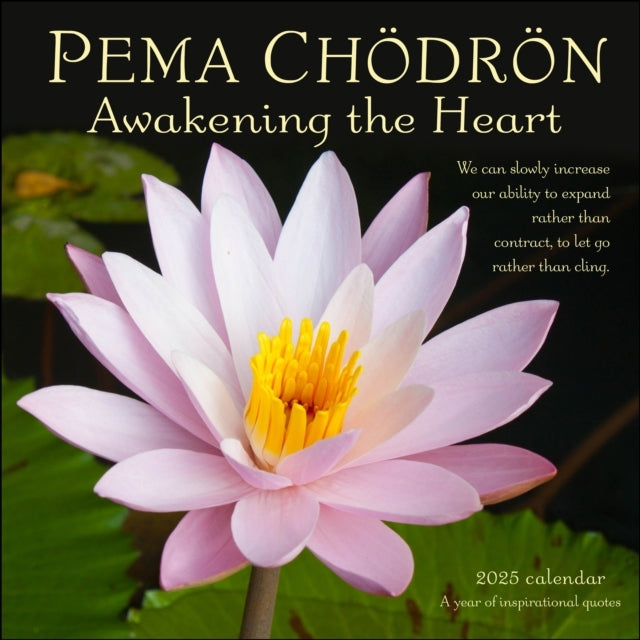 Pema Chodron 2025 Wall Calendar Awakening The Heart—A Year of Inspirational Quotes