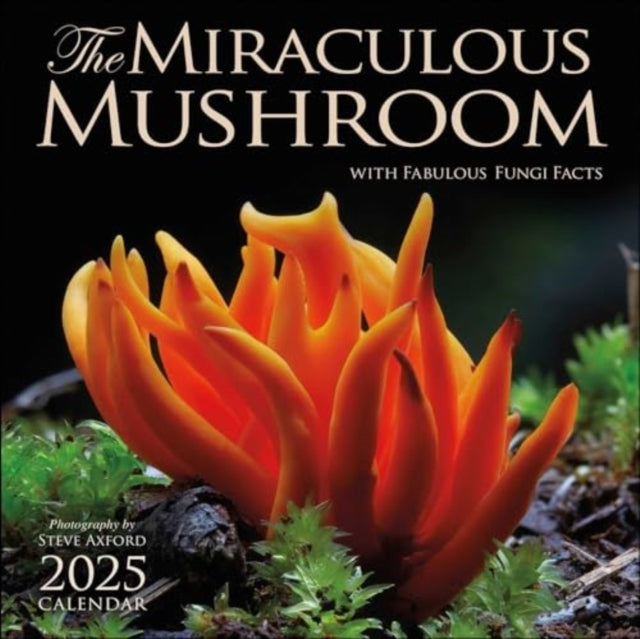 The Miraculous Mushroom 2025 Wall Calendar With Fabulous Fungi Facts