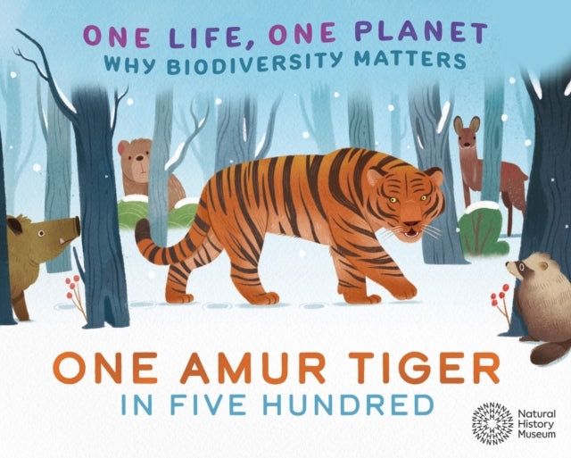 ONE LIFE, ONE PLANET: ONE AMUR TIGER IN FIVE HUNDRED WHY BIO