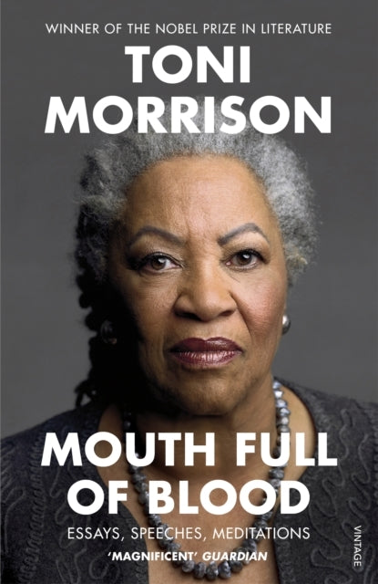Mouth Full of Bloodessays Speeches Meditations