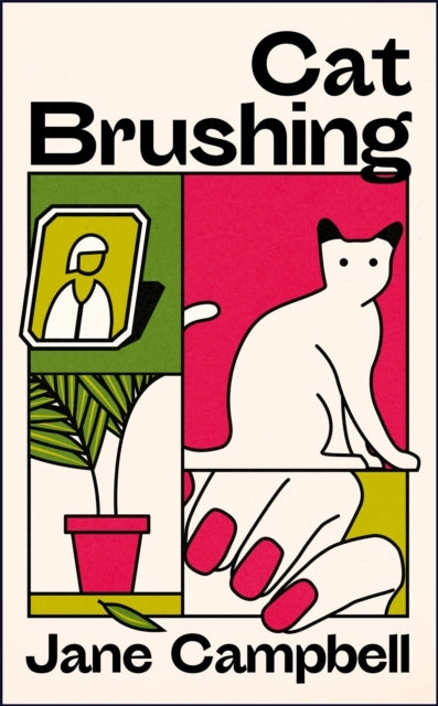 CAT BRUSHING A DAZZLING SHORT STORY COLLECTION ABOUT THIRTEE