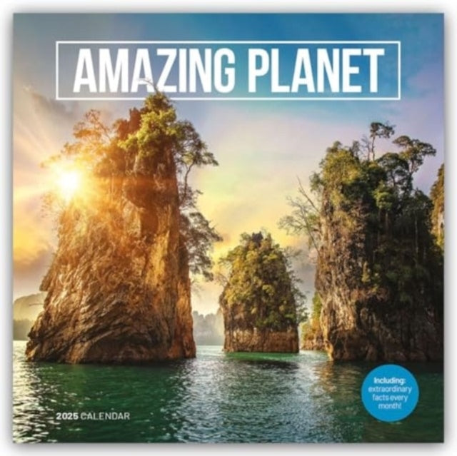 Amazing Planet Square Wall Calendar 2025