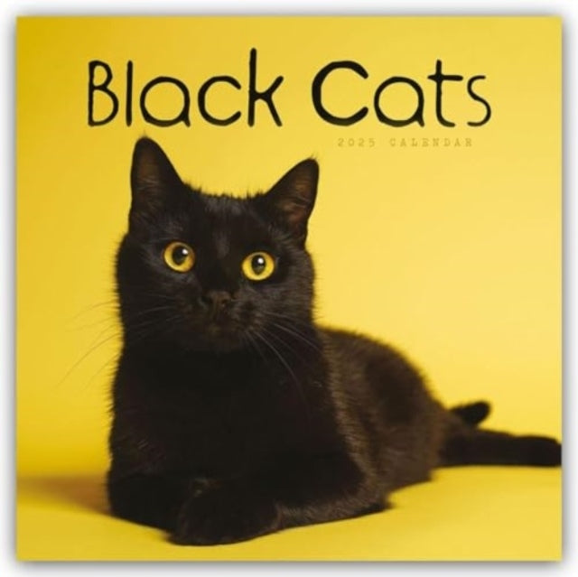 Black Cats Square Wall Calendar 2025