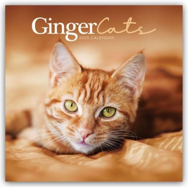Ginger Cats Square Wall Calendar 2025
