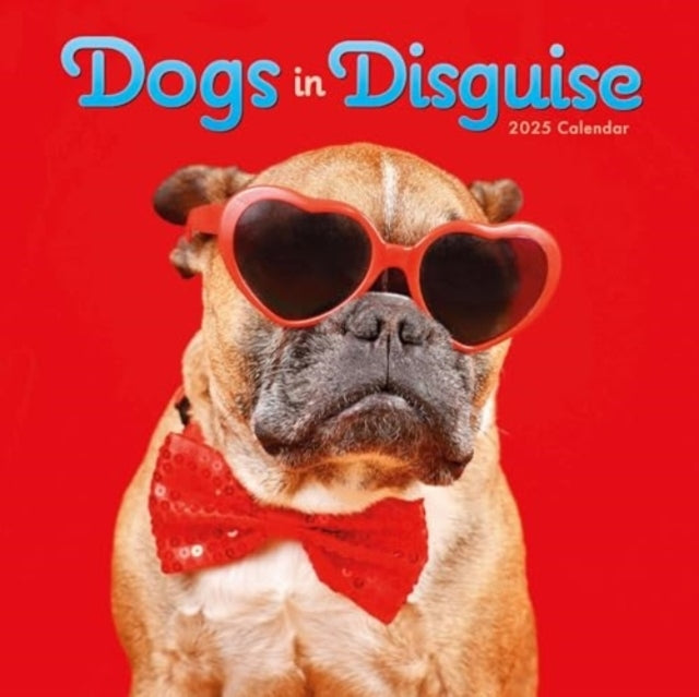Dogs In Disguise Square Wall Calendar 2025