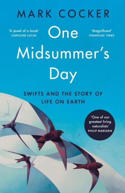 One Midsummer's Day Swifts and The Story of Life On Earth