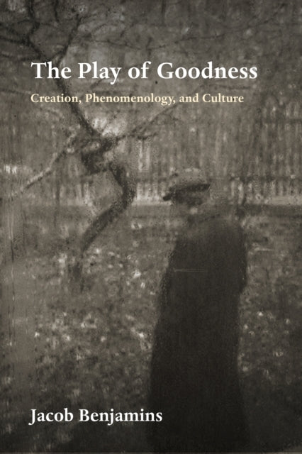 The Play of Goodness Creation, Phenomenology, and Culture