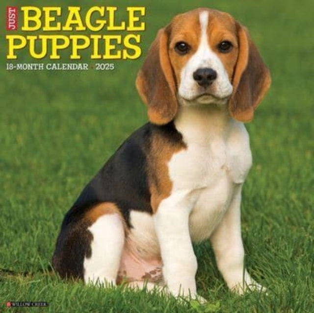 JUST BEAGLE PUPPIES 2025 12 X 12 WALL CALENDAR