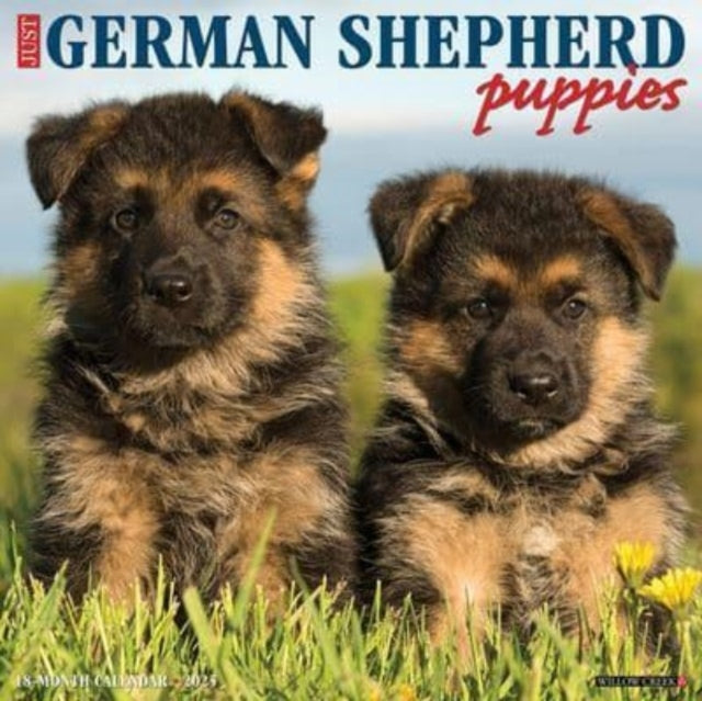 JUST GERMAN SHEPHERD PUPPIES 2025 12 X 12 WALL CALENDAR