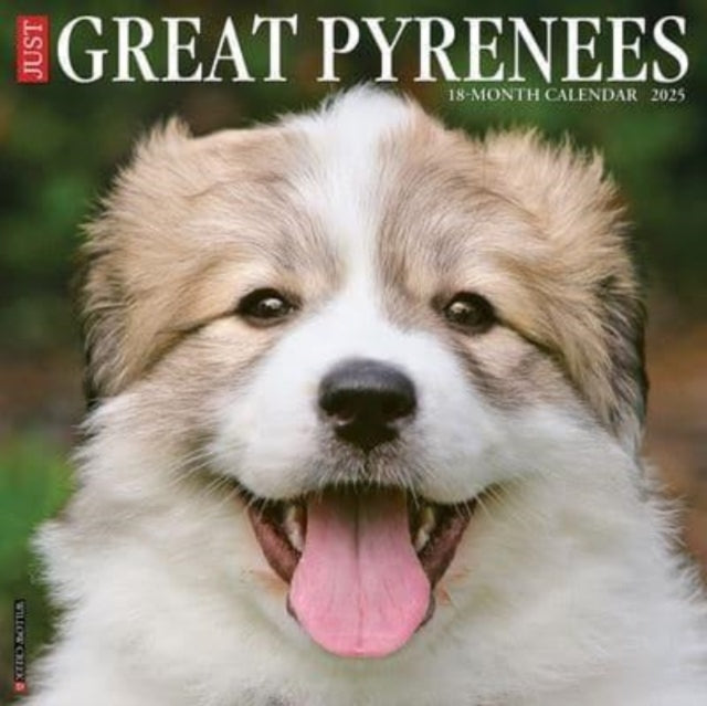 JUST GREAT PYRENEES 2025 12 X 12 WALL CALENDAR