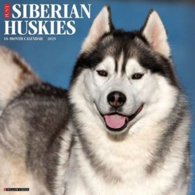 JUST SIBERIAN HUSKIES 2025 12 X 12 WALL CALENDAR