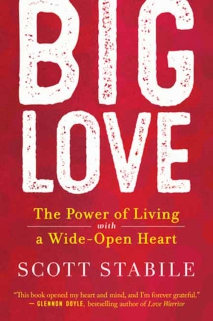 BIG LOVE THE POWER OF LIVING WITH A WIDE OPEN HEART