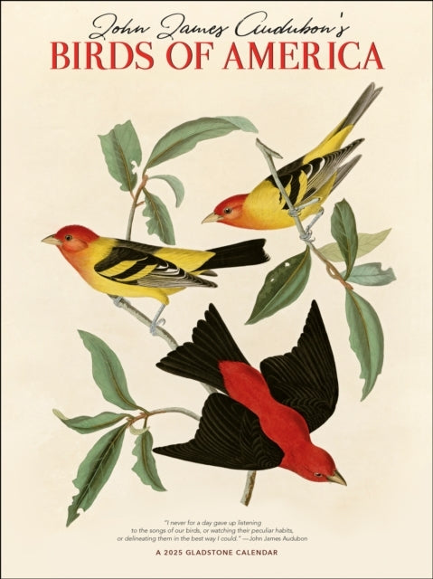 Audubon'S Birds of America Dlx W