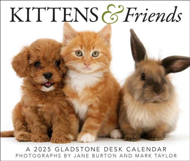 Kittens & Friends Box Calendar 2025