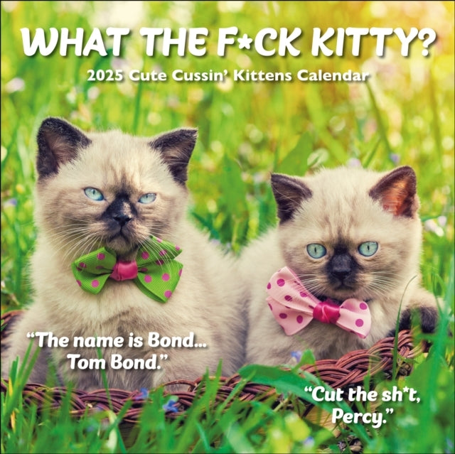 What The F*Ck Kitty? Square Wall Calendar 2025