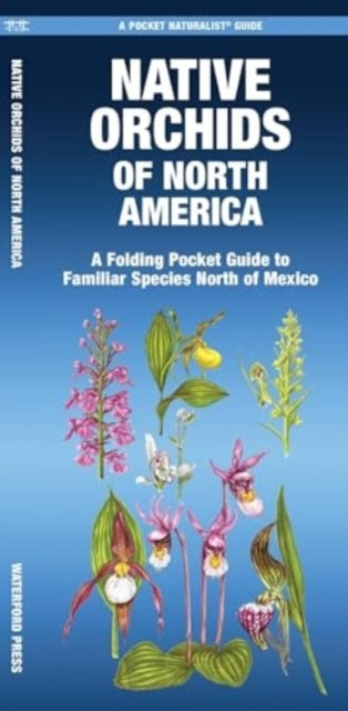 Native Orchids of North America A Folding Pocket Guide To Familiar Species North of Mexico