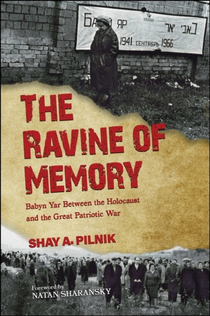 The Ravine Of Memory Babyn Yar Between The Holocaust And The